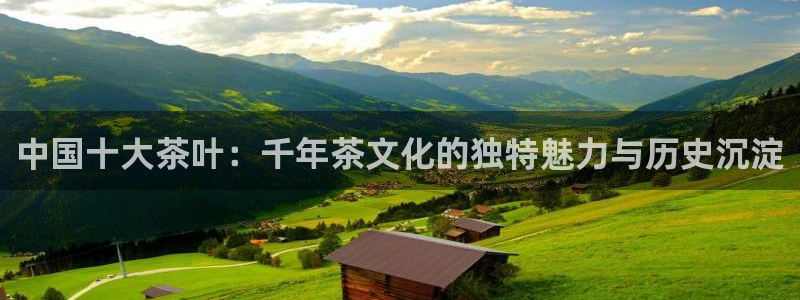 龙八国际app客户端下载安卓