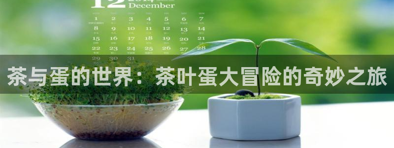 龙八国际网站手机版