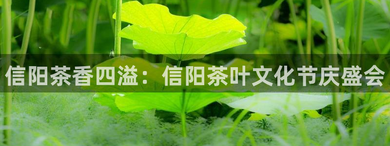 龙八国际app电话