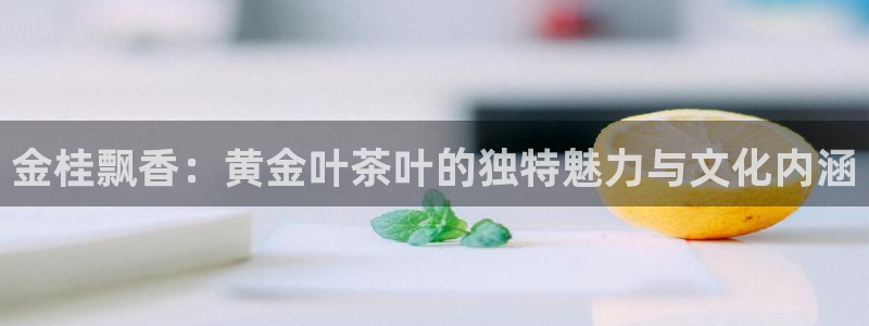 龙八国际平台手机版