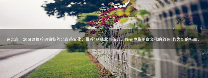 龙八国际菲律宾官网
