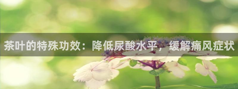 龙八国际 官网