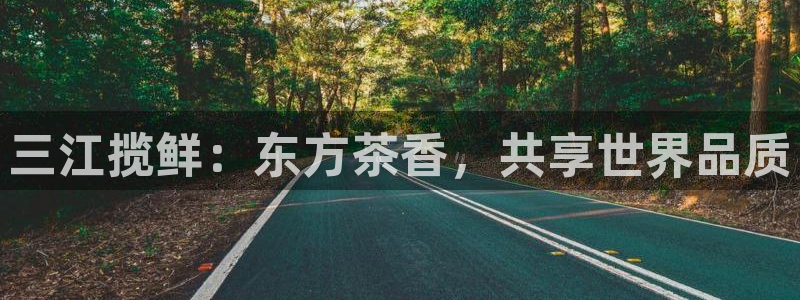 龙八国际怎么注册安卓