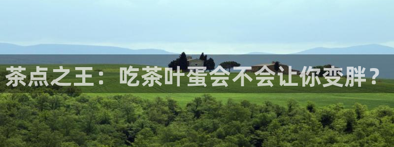 龙八国际官网首页网页版