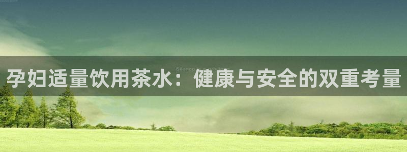 龙八国际娱乐pt