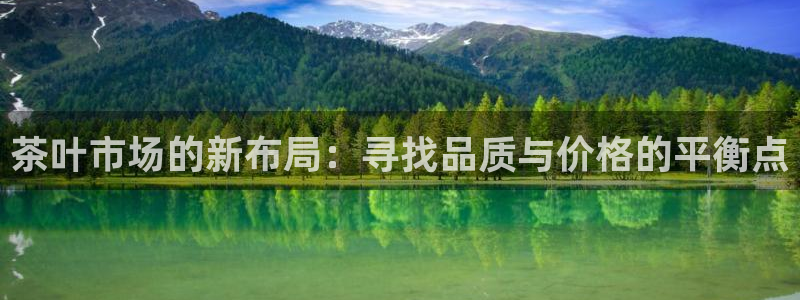 龙八国际88