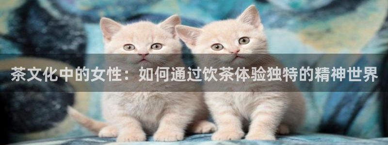 龙八国际客户端下载平台