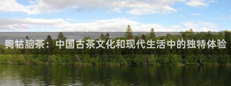 龙八国际官网首页网页版