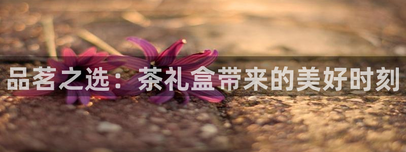 龙八国际App下载地址