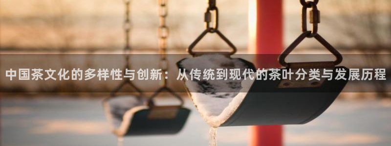 正规龙八国际