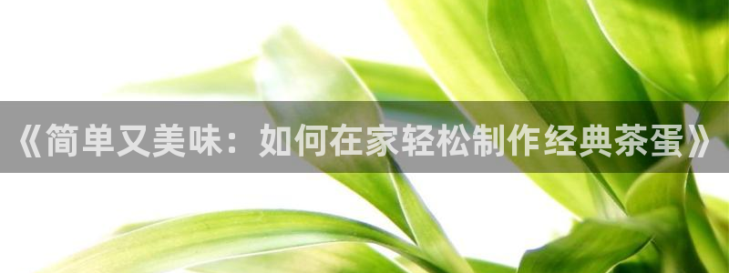 龙八国际登录密码