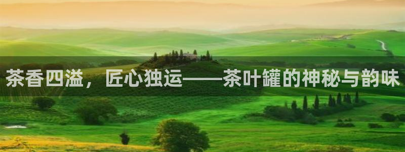 龙八国际官方旗舰店