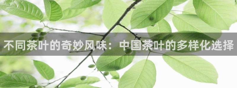 龙八国际娱乐官网首页