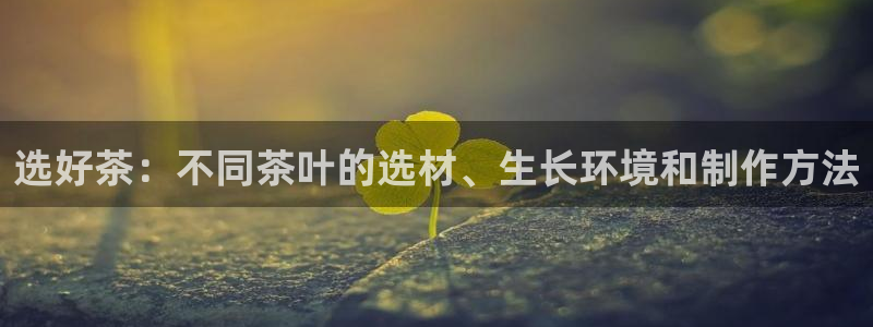龙八国际手机版下载苹果