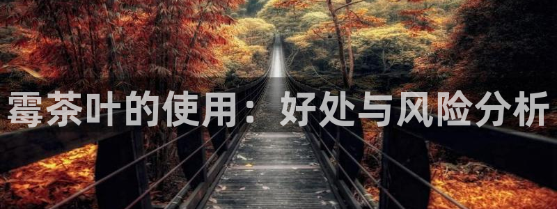 龙八国际娱乐官网手机