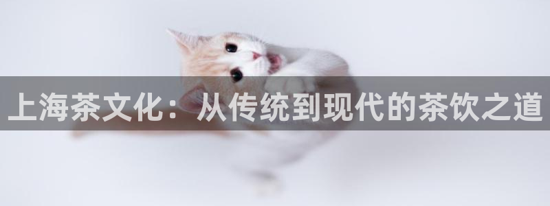 手机版龙八国际官网