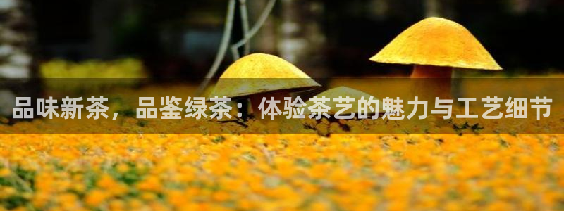 龙八国际花园宝宝