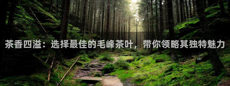 龙八国际官网首页网页版