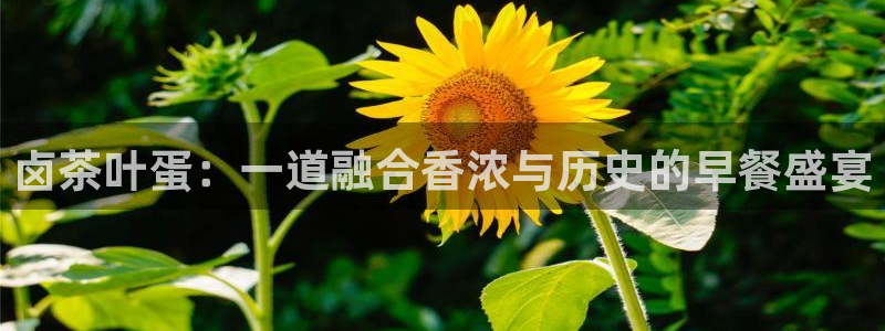 龙八国际客服