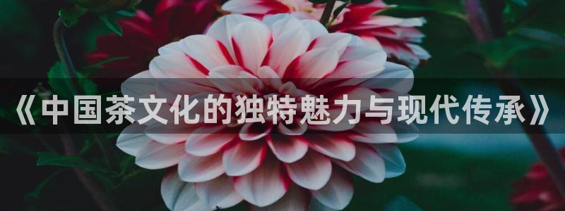龙八国际app下载地址网址