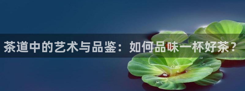 龙八国际免费下载