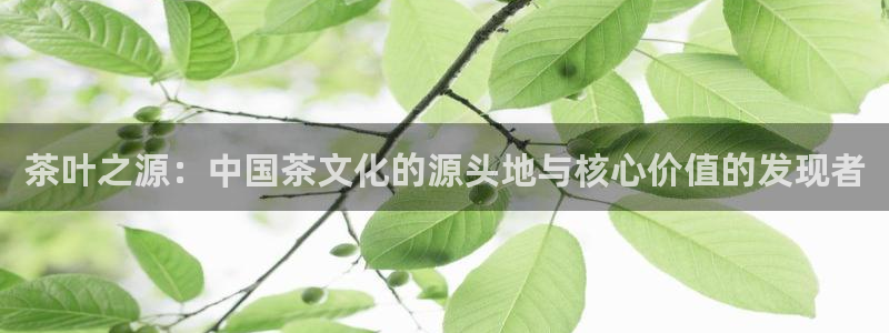 举报龙八国际