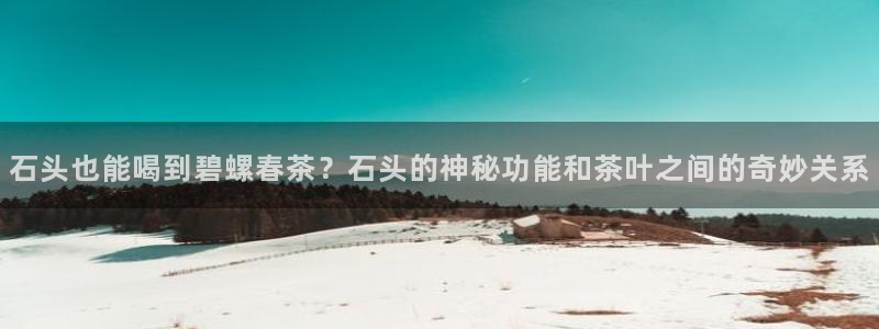 龙八国际登录网站