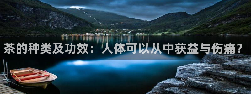 龙八国际菲律宾官网