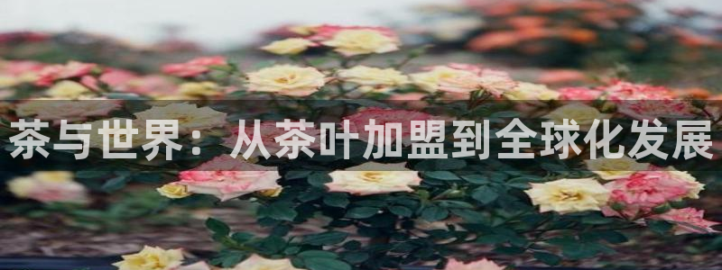 菲律宾龙八国际