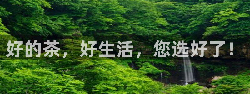 龙八国际手机登录入口