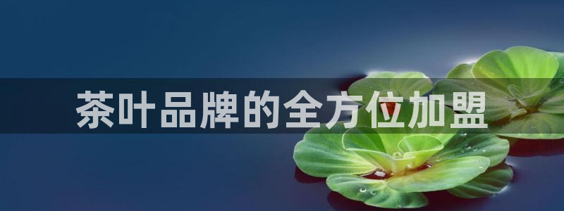 龙八国际网址是什么