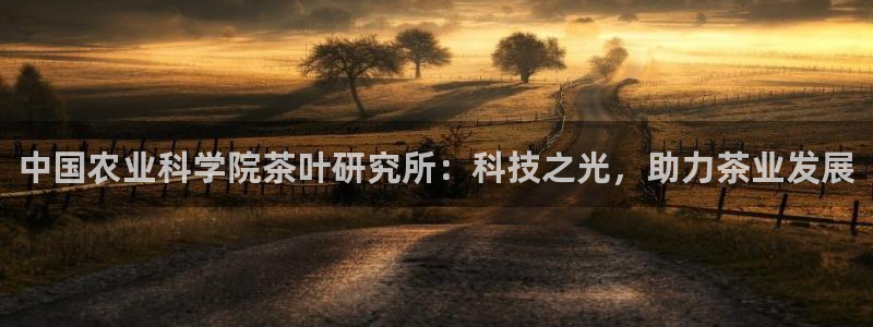 龙八国际app客户端下载手机版