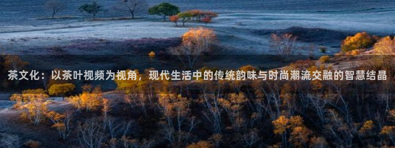 龙八国际苹果下载