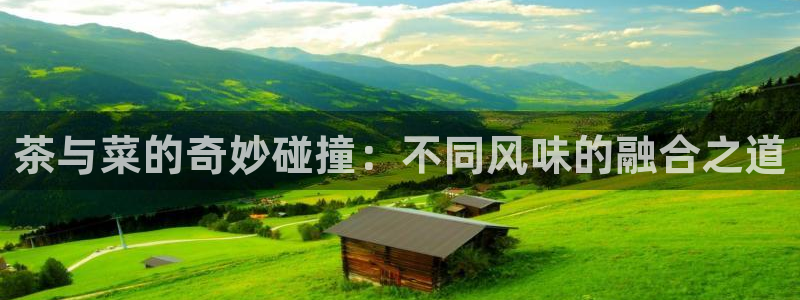 龙八国际安全