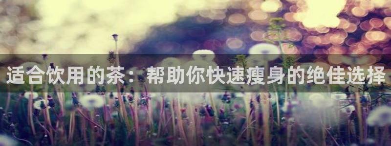 龙八国际网站登录