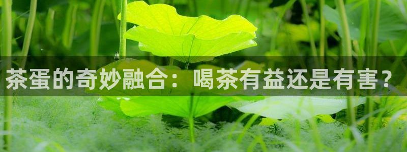 龙八国际客户端下载安装