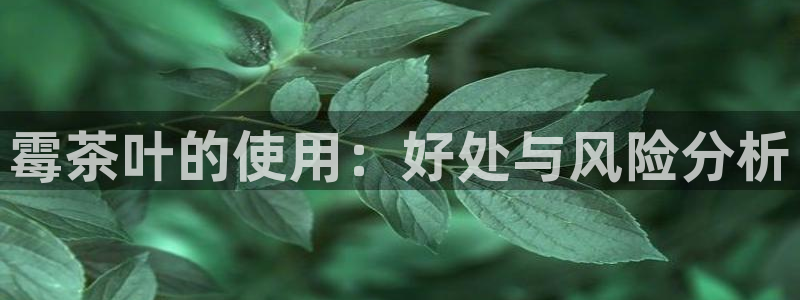 龙八国际发哥下载