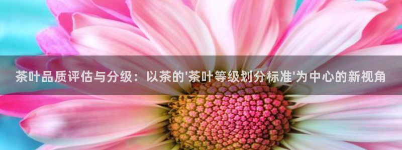 龙八国际网址