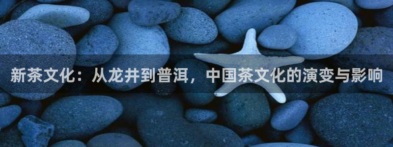 菲律宾龙八国际