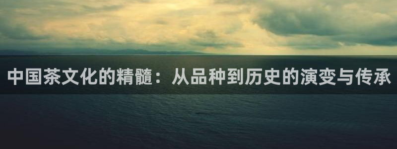 龙八国际long