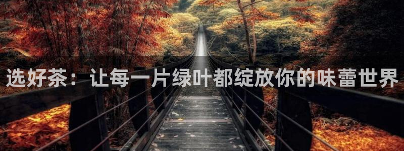 龙八国际手机版