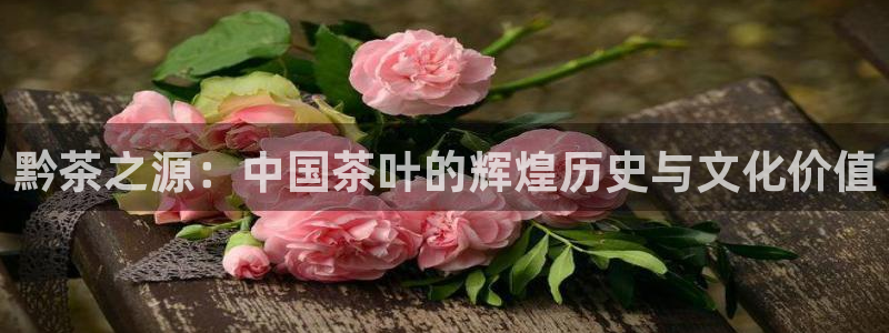龙八国际娯乐城