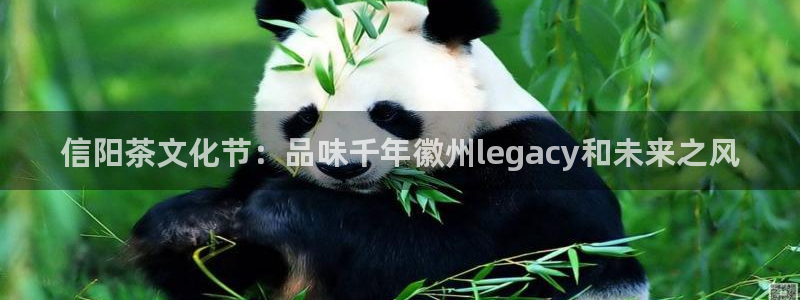 龙八国际平台真人游戏