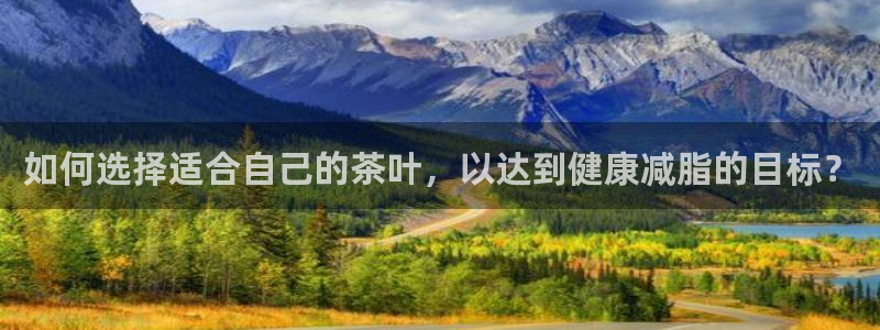 龙八国际娱乐官网app