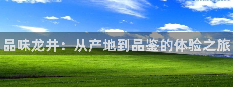 龙八国际手机登录网址