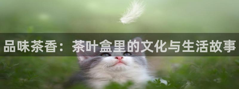 龙八国际发哥下载