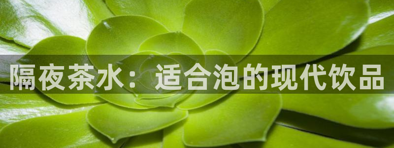 龙八国际服官网入口