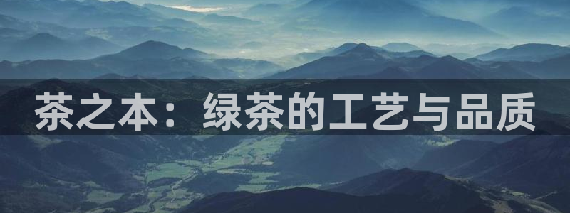 龙八国际