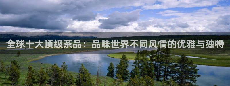 龙八国际下载链接手机端