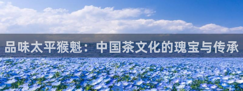 龙八国际娱乐在线游戏